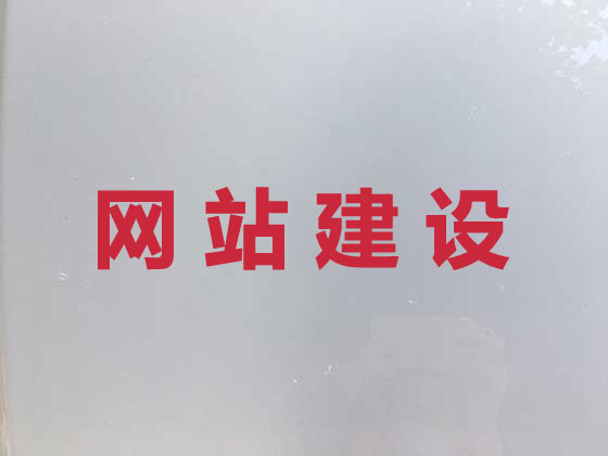 宝鸡专业网站建设
